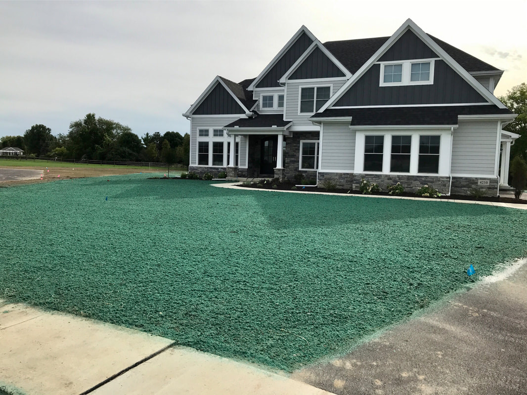 A newly hydroseeded suburban yard with even green mulch coverage